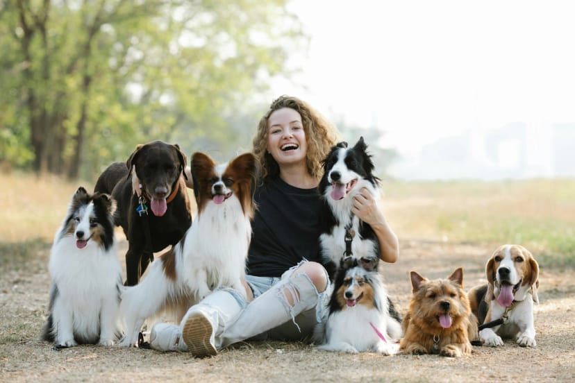 Pet Relief Areas: Designing Dedicated Spaces in Your Yard - Featured blog post image