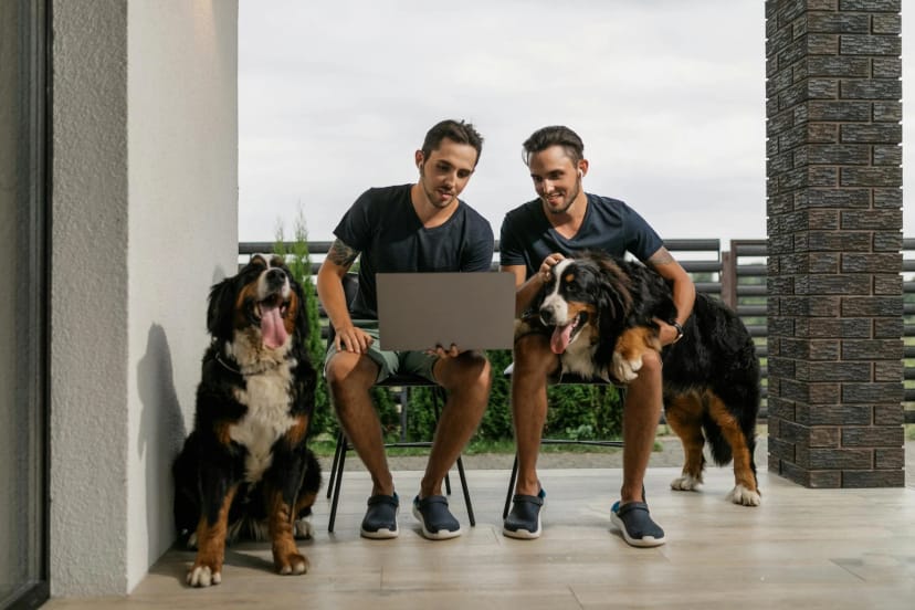 Property Value and Pet Waste: The Real Estate Impact - Featured blog post image