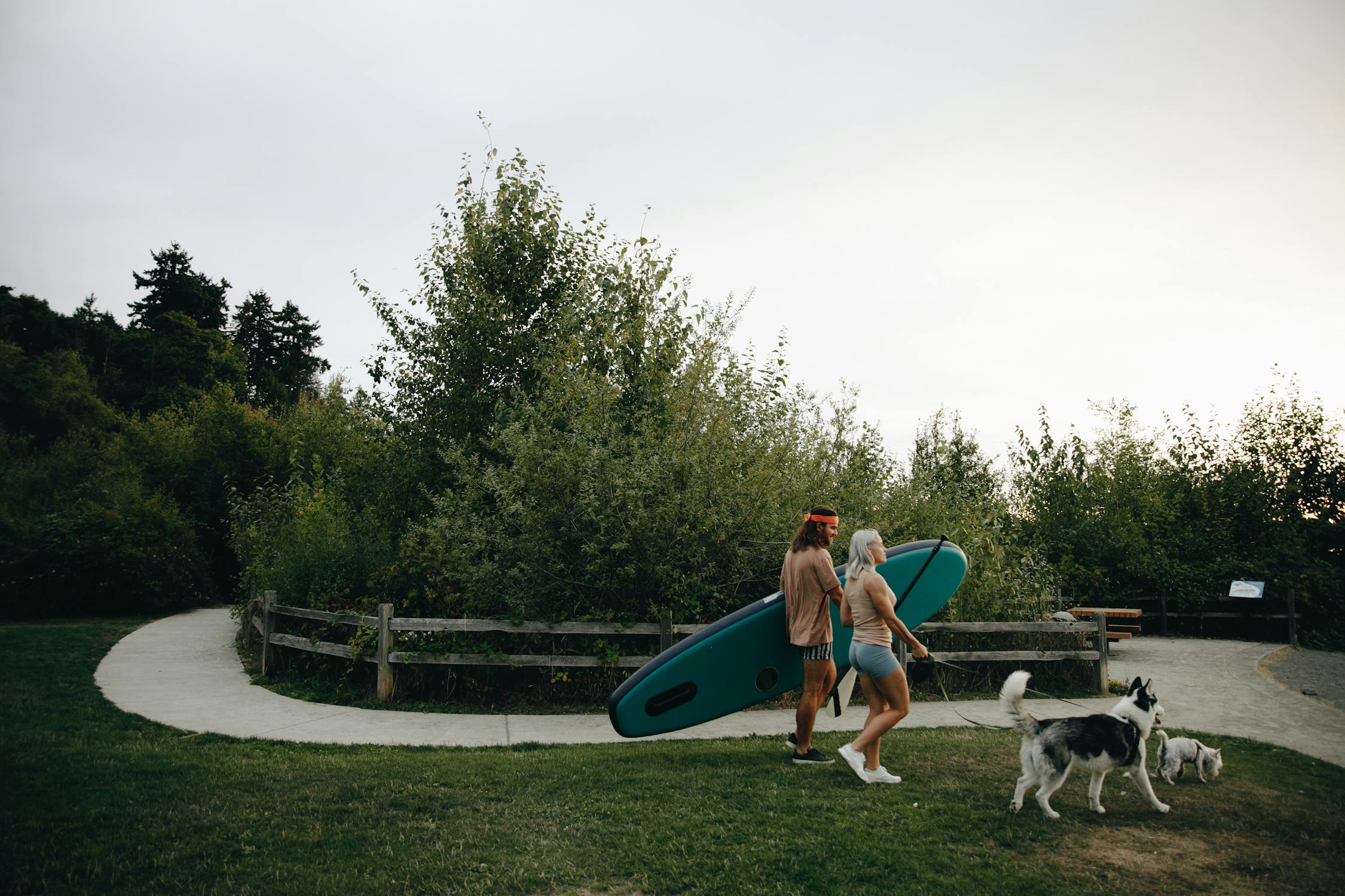 Accessibility Options for Disabled Pet Owners: Waste Management Solutions - Featured image